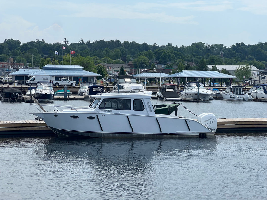 2017 Lighthouse 31 Cruiser Custom