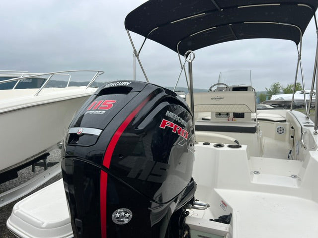 2021 Stingray 186 CC
