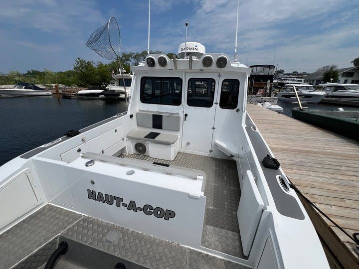 2017 Lighthouse 31 Cruiser Custom