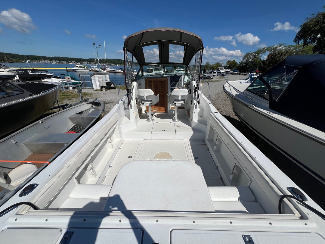 1990 Chris-Craft Sea Hawk 25'